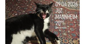 Konzert: Stay In Nothing // Watching Buildings Grow